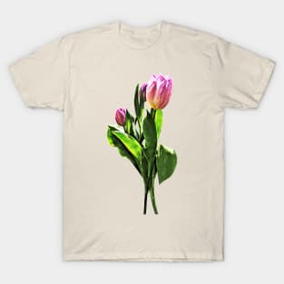 Lovely Pale Pink Tulips T-Shirt